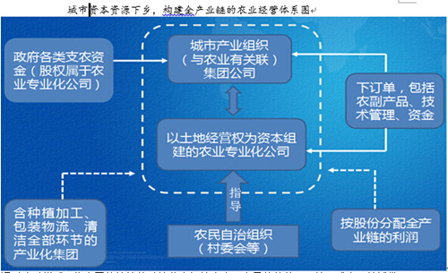 中國經濟體制改革基金會楊慶育：重慶統籌城鄉綜改案例及深化改革方向