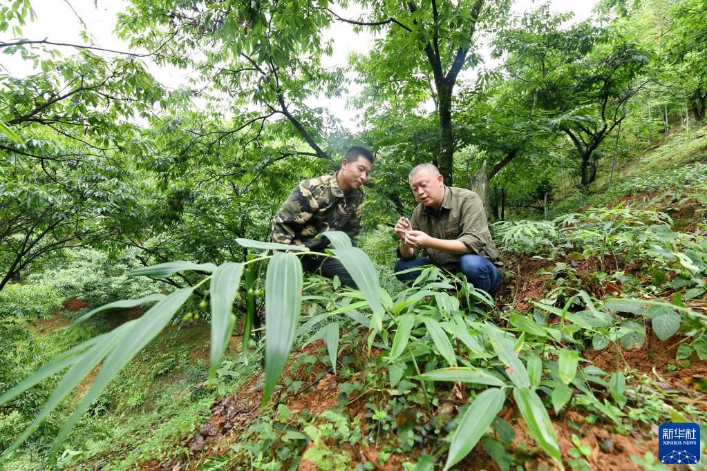點擊進入下一頁